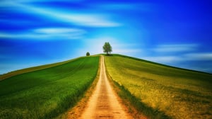 away-3408119_1280